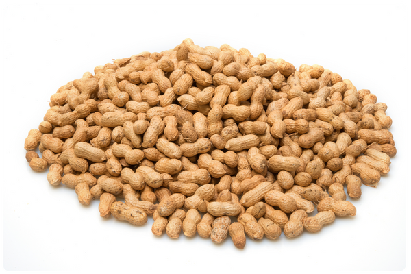 Cópia de Design sem nome (8)